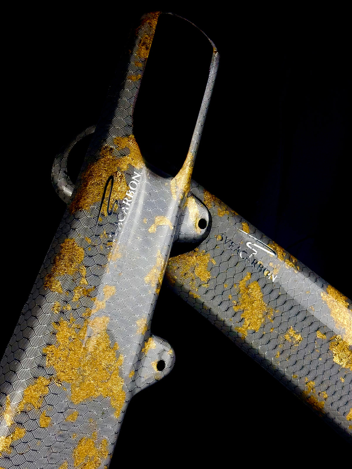 Carbon Swingarm Protection – KTM EXC