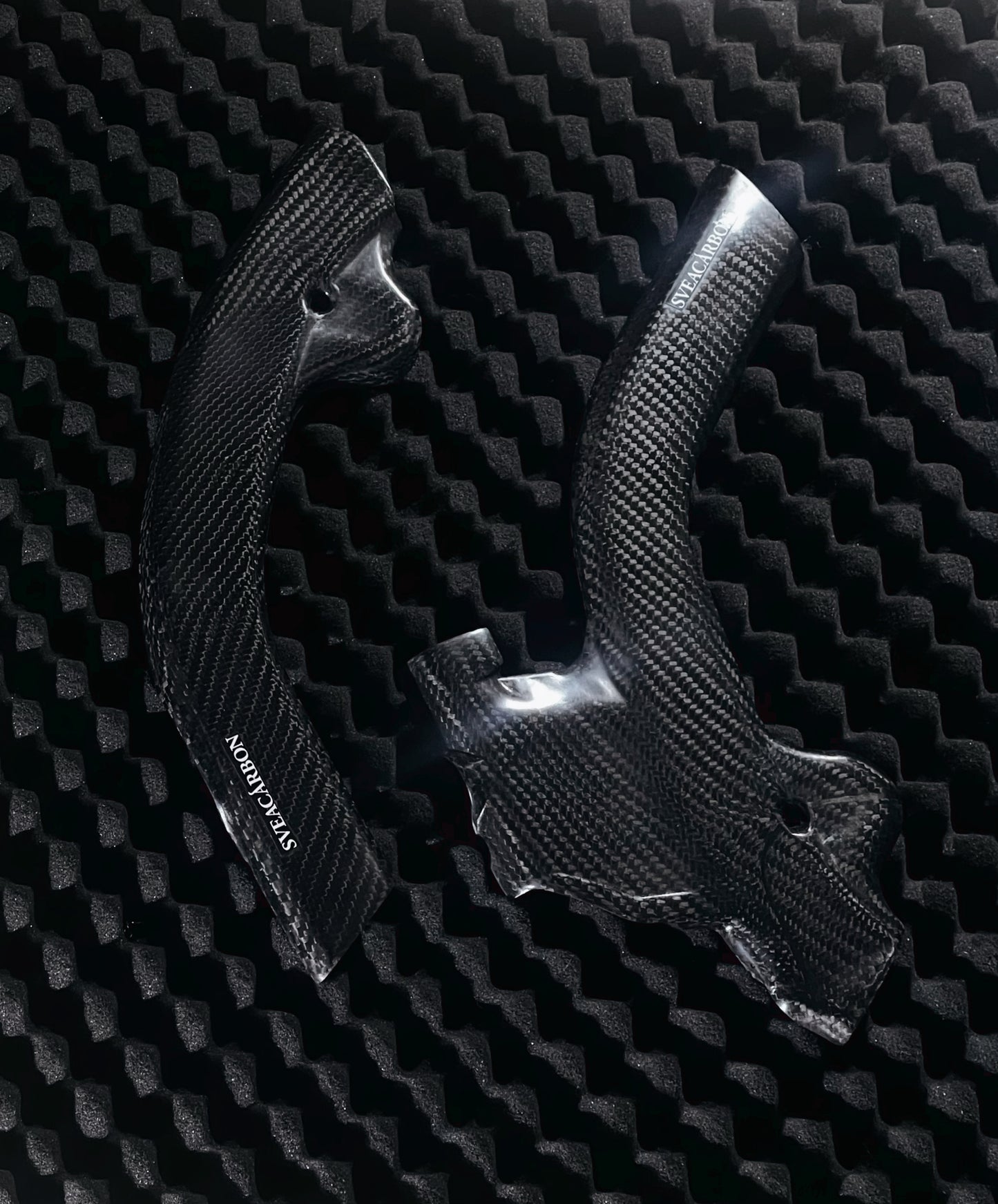 CARBON FRAME GUARDS for BETA